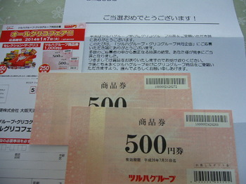 20140224 ツルハグループ×グリコグループ ツルハグループ商品券1,000円分.JPG